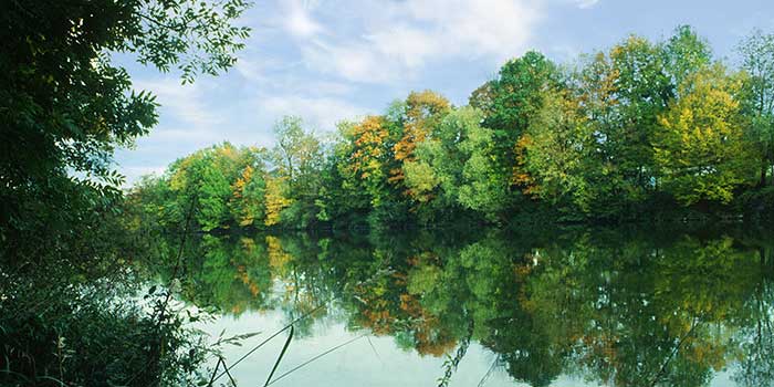 El Danubio cerca de Leipheim a principios de otoño