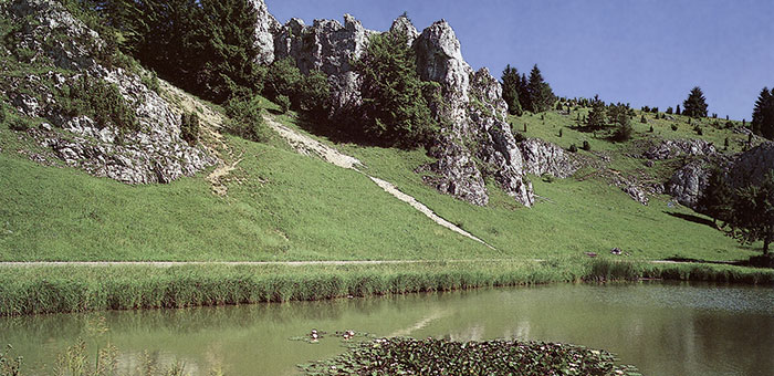 Felsen und Fluss im Brenztal auf der Schwäbischen Alb