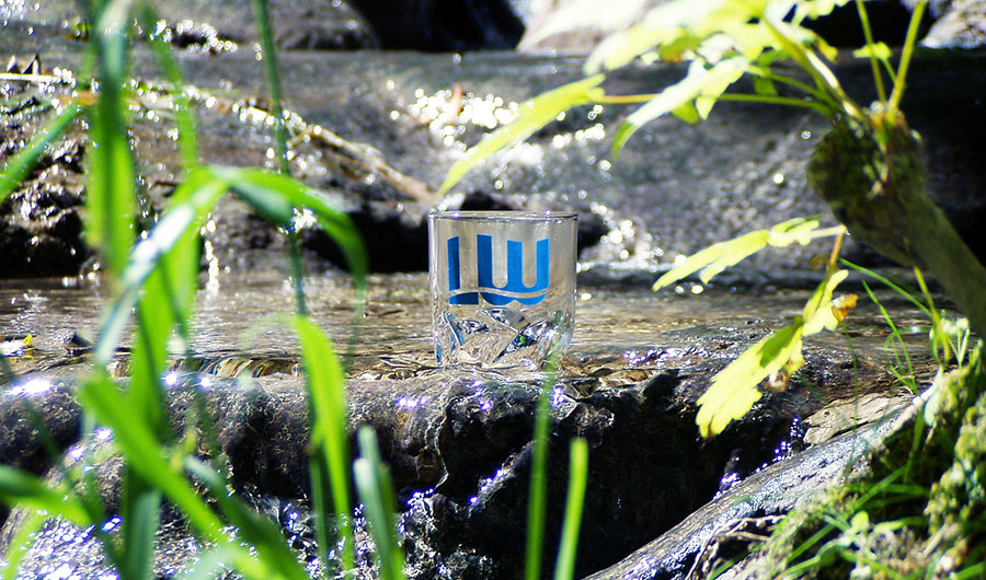 Ein Glas mit Landeswasserlogo steht in einer Wasserquelle auf einem Stein
