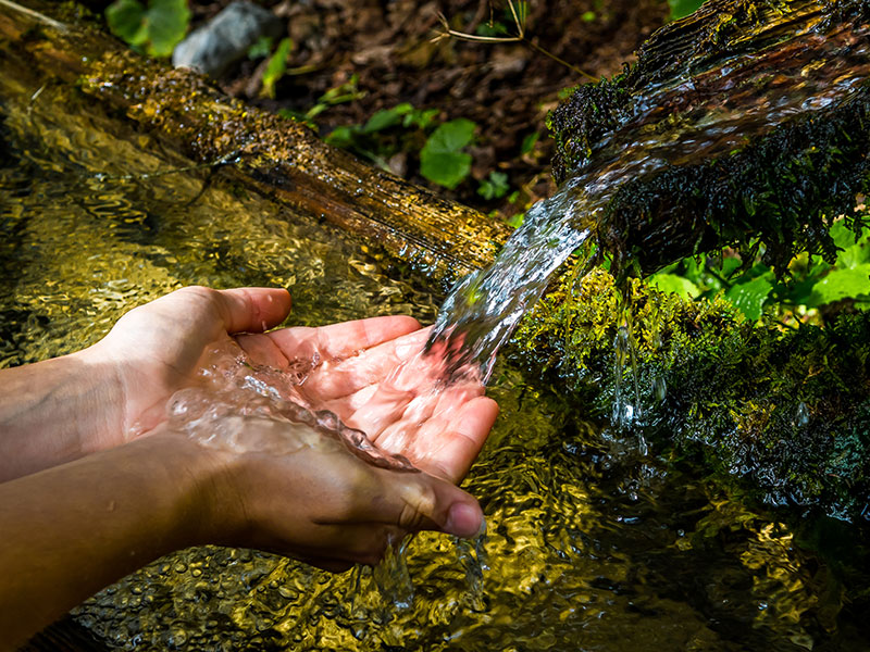 Wasser aus einer Quelle fließt auf eine Hand Wasser aus einer Quelle fließt auf eine Hand