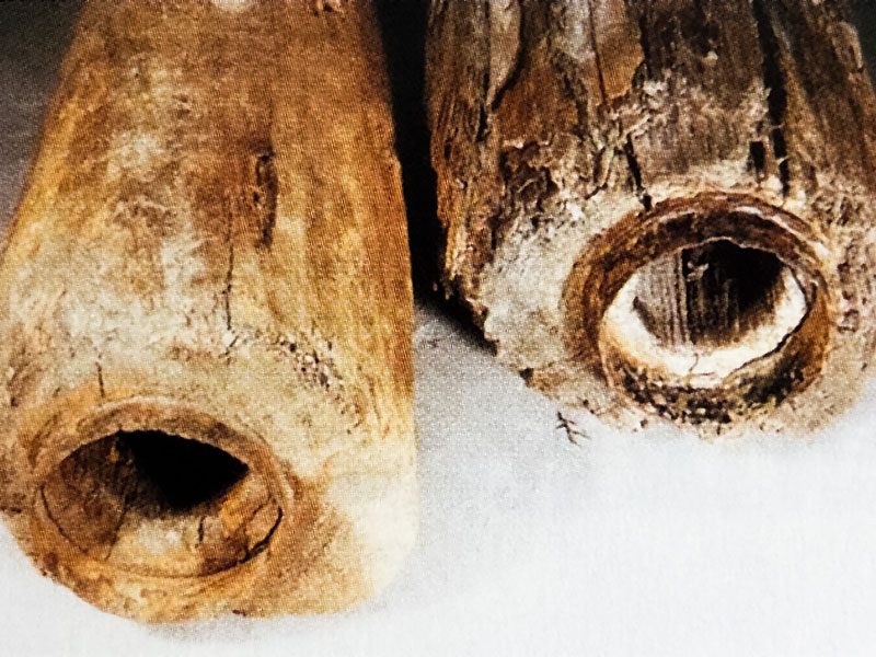 Zwei Rohre aus Holz Zwei Rohre aus Holz
