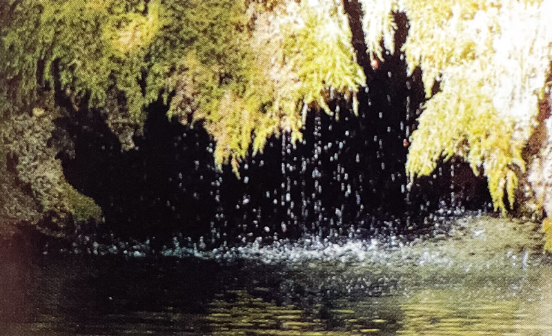 Wasser tropft an einem bemoosten Felsen hinunter in ein Wasserbecken Wasser tropft an einem bemoosten Felsen hinunter in ein Wasserbecken