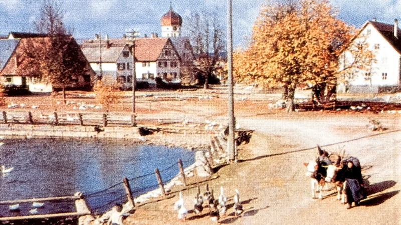 Teich umgeben von Häusern, Höfen und Tieren. Eine Frau führt zwei Kühe zum Wasser. Teich umgeben von Häusern, Höfen und Tieren. Eine Frau führt zwei Kühe zum Wasser.